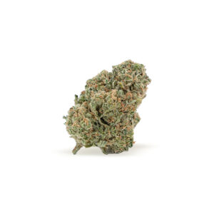 crescendo strain